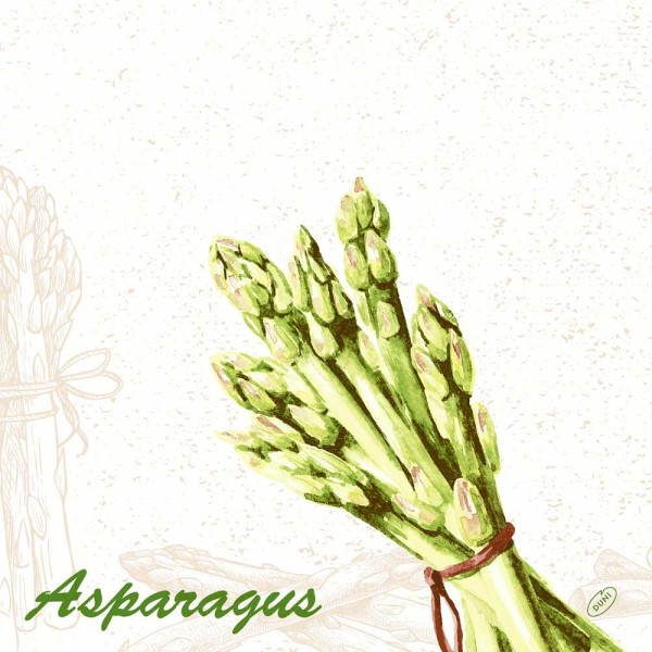 DUNI Dunisoft Serviette 40x40 cm 1/4F. Green Asparagus